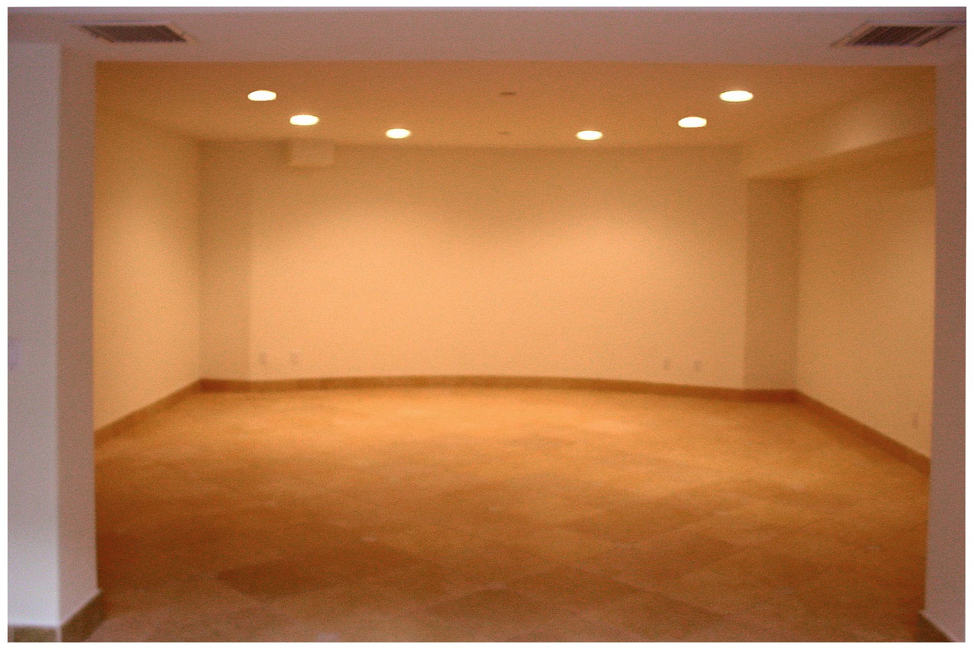 SMALL THEATER IN A DEDICATED ROOMConcrete walls & Ceiling were treated with sound aborbing materials prior to additoin of finished wall materials.